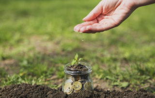 Mécénat d'entreprise - Des pièces de monnaie dans un pot de verre et une petite plante qui pousse dessus
