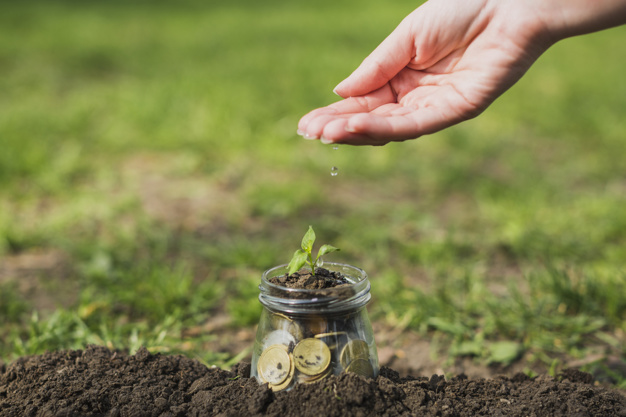 Mécénat d'entreprise - Des pièces de monnaie dans un pot de verre et une petite plante qui pousse dessus